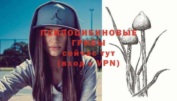 apvp Баксан
