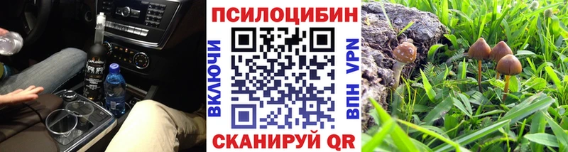 Галлюциногенные грибы Cubensis  Семикаракорск 